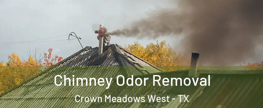 Chimney Odor Removal Crown Meadows West - TX