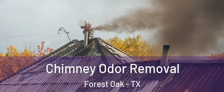 Chimney Odor Removal Forest Oak - TX