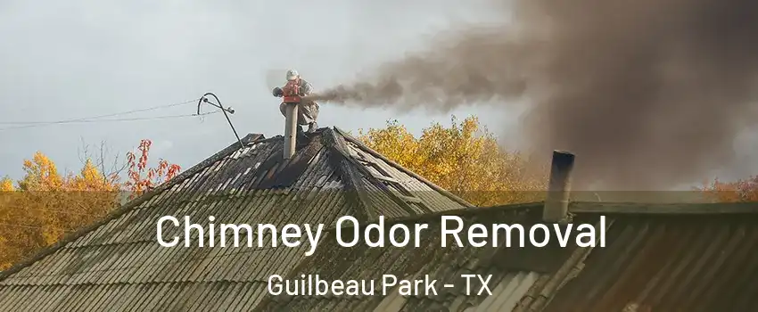 Chimney Odor Removal Guilbeau Park - TX