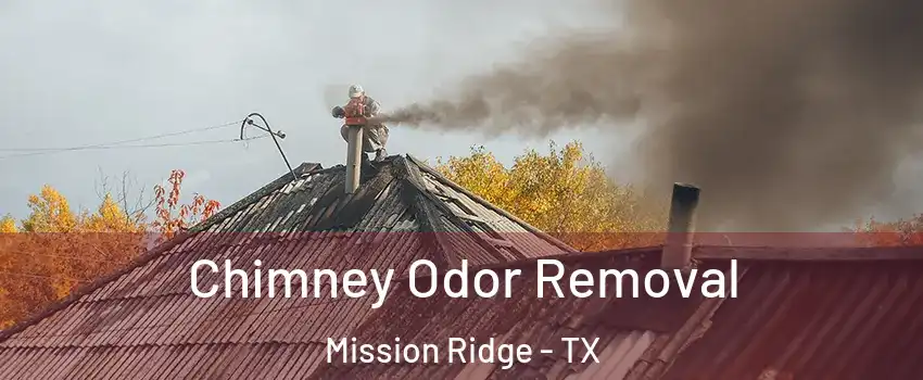 Chimney Odor Removal Mission Ridge - TX