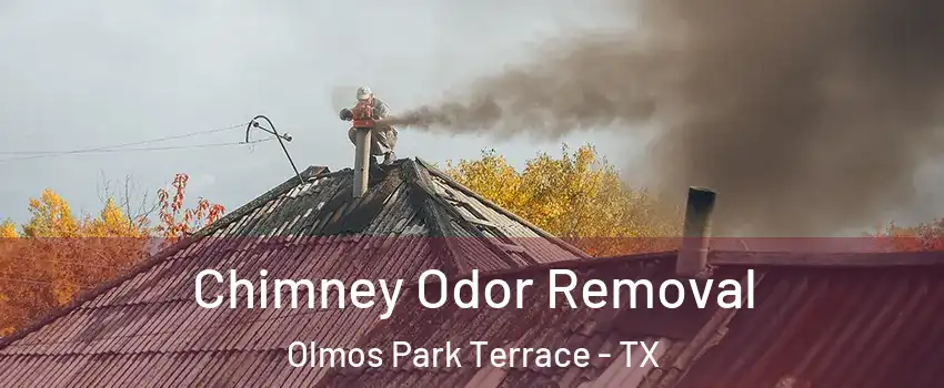 Chimney Odor Removal Olmos Park Terrace - TX