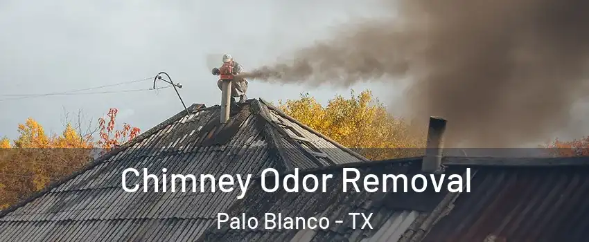 Chimney Odor Removal Palo Blanco - TX