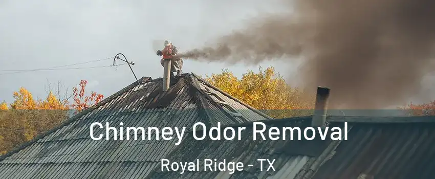 Chimney Odor Removal Royal Ridge - TX