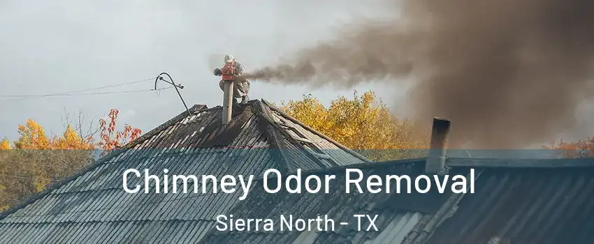 Chimney Odor Removal Sierra North - TX