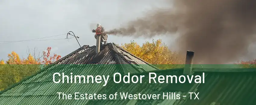 Chimney Odor Removal The Estates of Westover Hills - TX