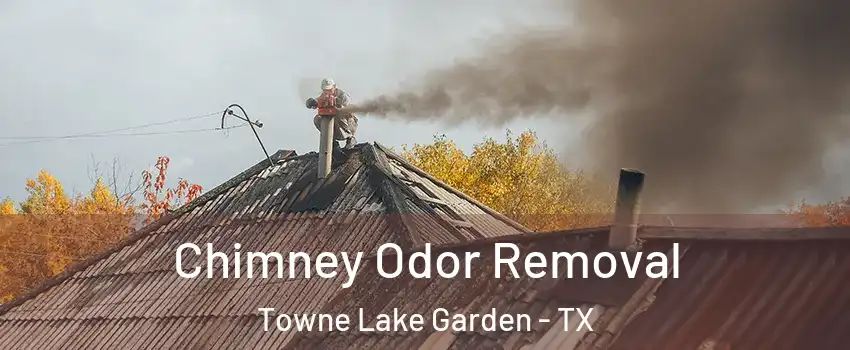 Chimney Odor Removal Towne Lake Garden - TX