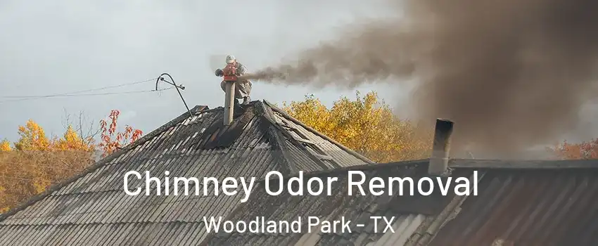 Chimney Odor Removal Woodland Park - TX