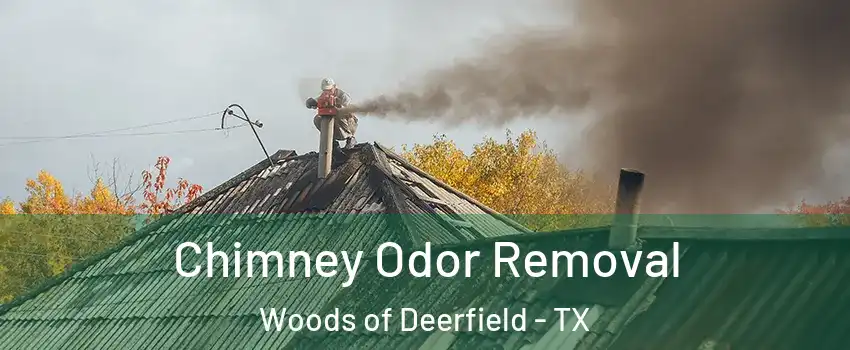 Chimney Odor Removal Woods of Deerfield - TX