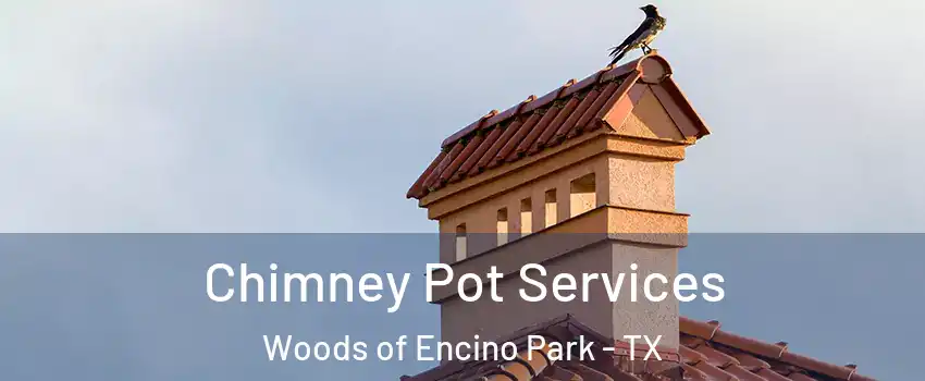 Chimney Pot Services Woods of Encino Park - TX