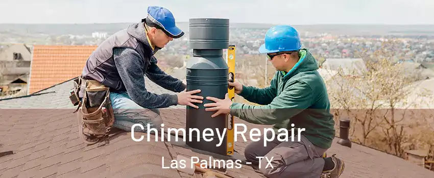 Chimney Repair Las Palmas - TX