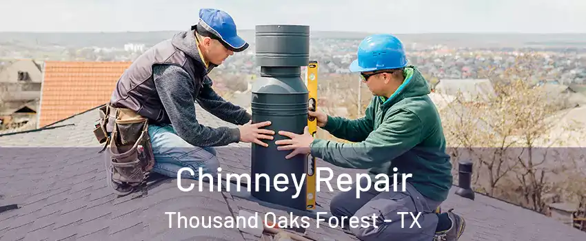 Chimney Repair Thousand Oaks Forest - TX