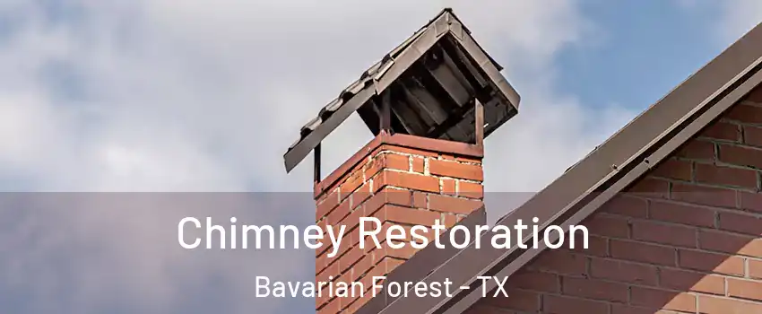 Chimney Restoration Bavarian Forest - TX