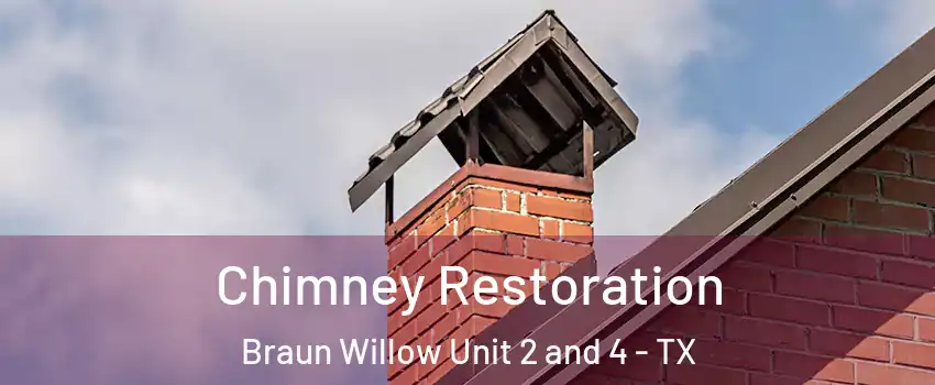 Chimney Restoration Braun Willow Unit 2 and 4 - TX