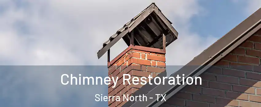 Chimney Restoration Sierra North - TX