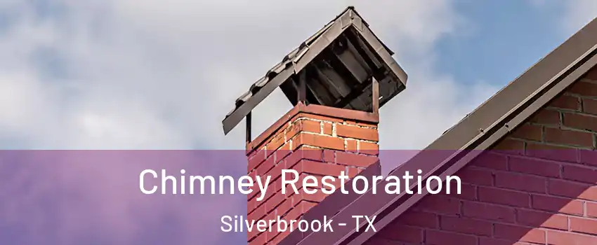 Chimney Restoration Silverbrook - TX