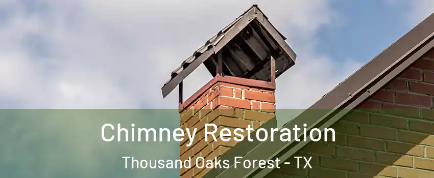 Chimney Restoration Thousand Oaks Forest - TX