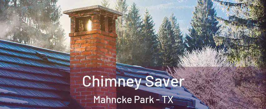 Chimney Saver Mahncke Park - TX