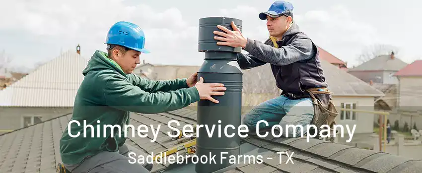 Chimney Service Company Saddlebrook Farms - TX