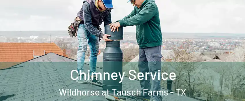 Chimney Service Wildhorse at Tausch Farms - TX