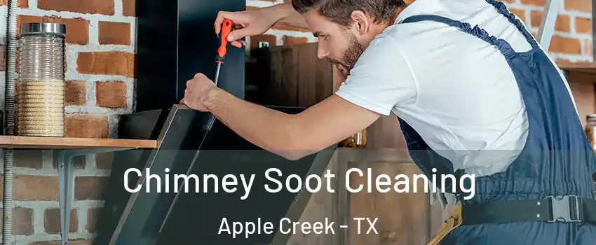 Chimney Soot Cleaning Apple Creek - TX