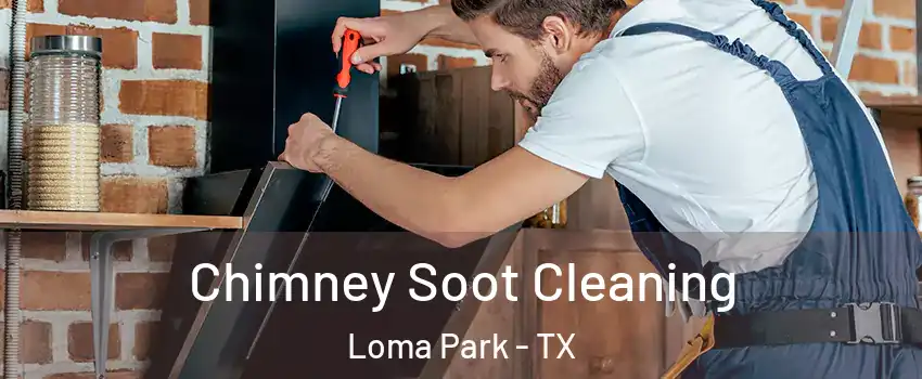 Chimney Soot Cleaning Loma Park - TX