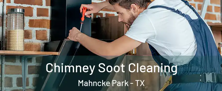 Chimney Soot Cleaning Mahncke Park - TX