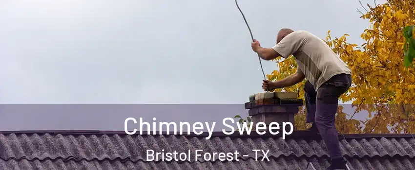 Chimney Sweep Bristol Forest - TX