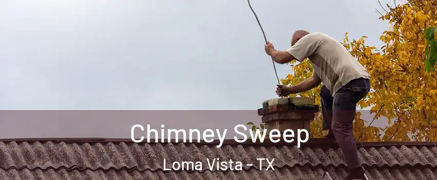 Chimney Sweep Loma Vista - TX