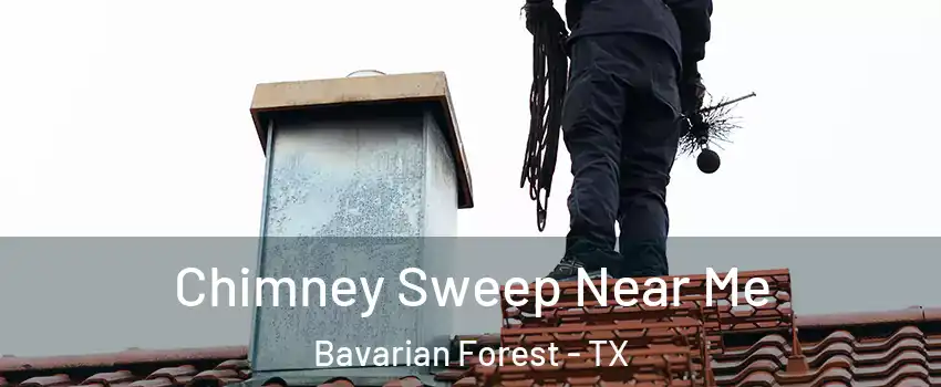 Chimney Sweep Near Me Bavarian Forest - TX