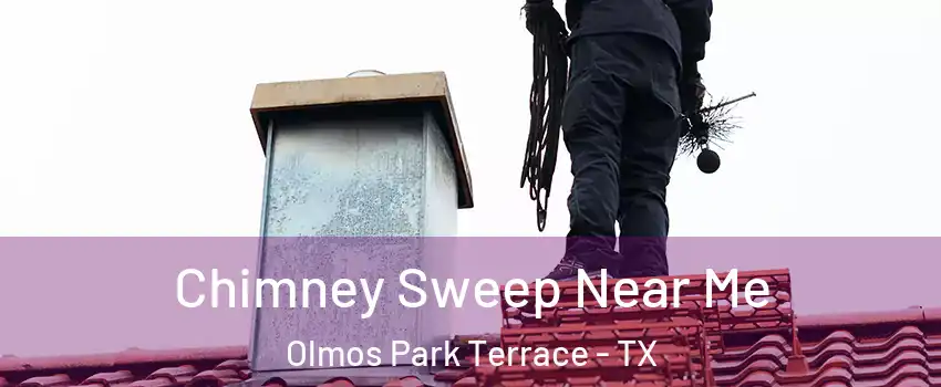 Chimney Sweep Near Me Olmos Park Terrace - TX