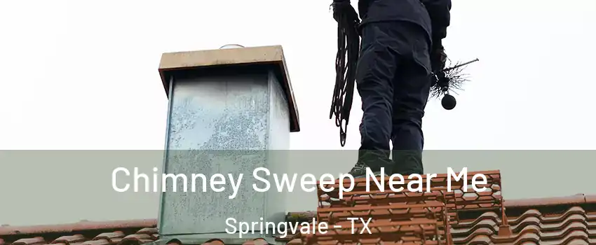 Chimney Sweep Near Me Springvale - TX