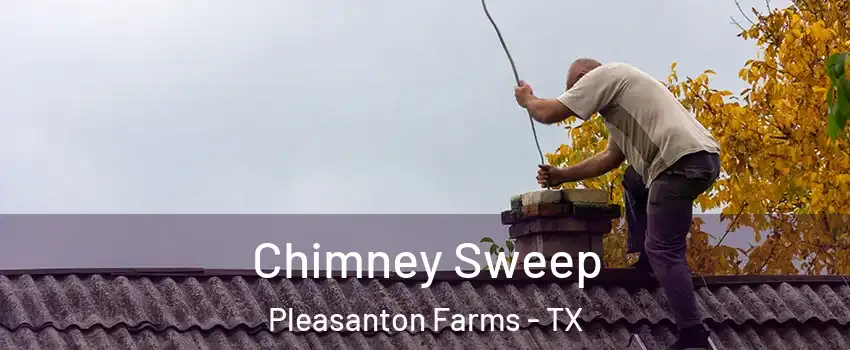 Chimney Sweep Pleasanton Farms - TX