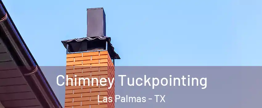 Chimney Tuckpointing Las Palmas - TX