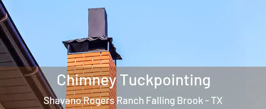 Chimney Tuckpointing Shavano Rogers Ranch Falling Brook - TX