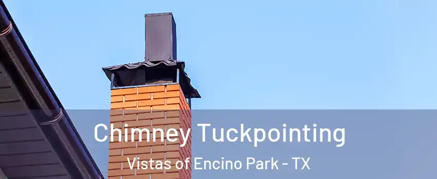 Chimney Tuckpointing Vistas of Encino Park - TX