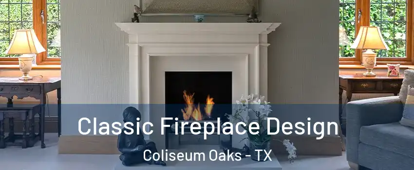 Classic Fireplace Design Coliseum Oaks - TX