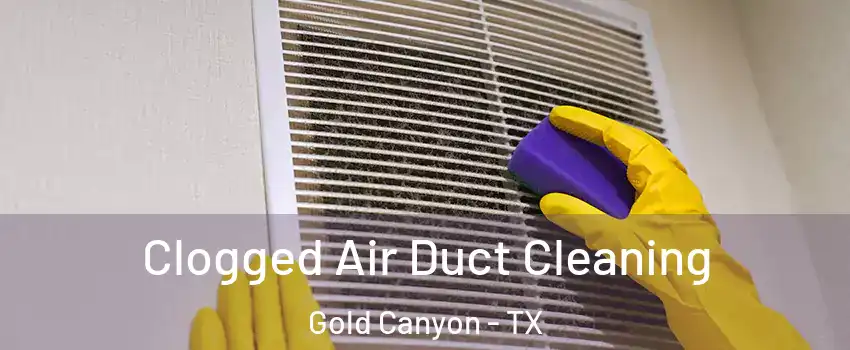 Clogged Air Duct Cleaning Gold Canyon - TX