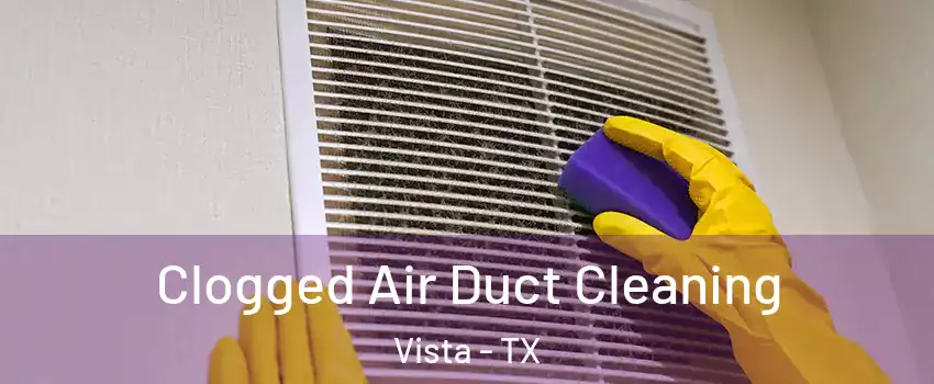 Clogged Air Duct Cleaning Vista - TX