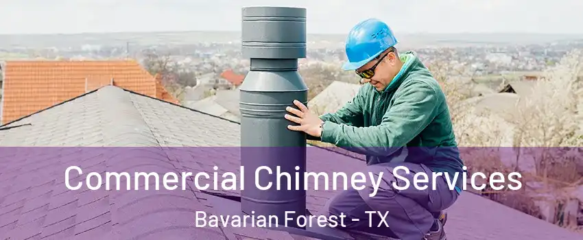 Commercial Chimney Services Bavarian Forest - TX