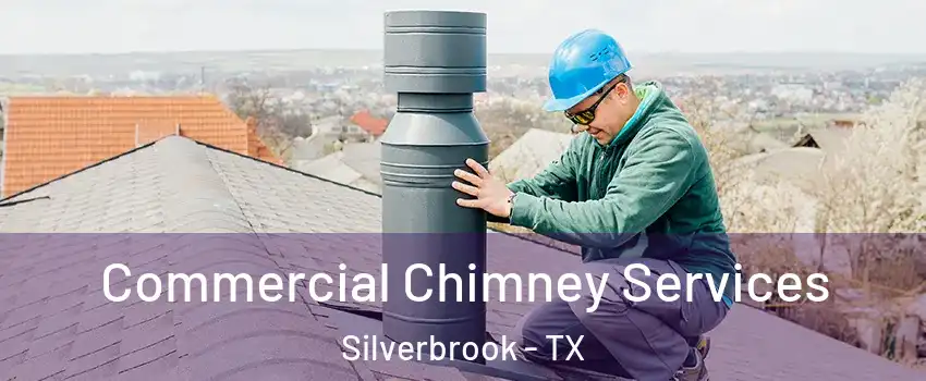 Commercial Chimney Services Silverbrook - TX