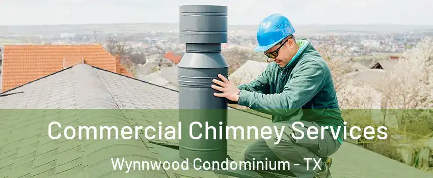 Commercial Chimney Services Wynnwood Condominium - TX