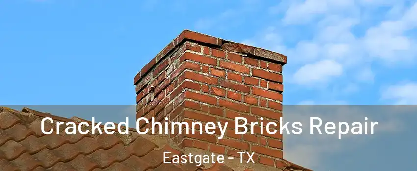 Cracked Chimney Bricks Repair Eastgate - TX