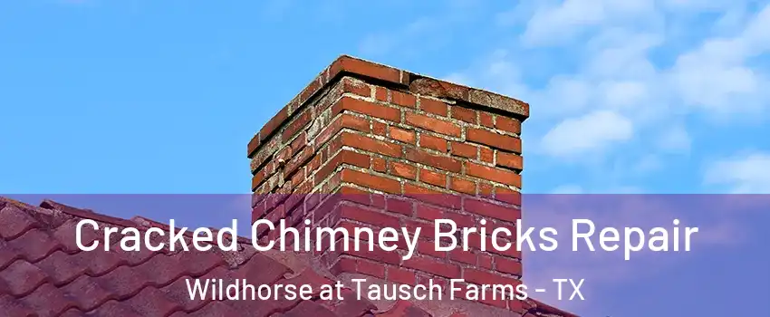 Cracked Chimney Bricks Repair Wildhorse at Tausch Farms - TX