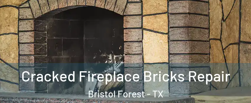 Cracked Fireplace Bricks Repair Bristol Forest - TX