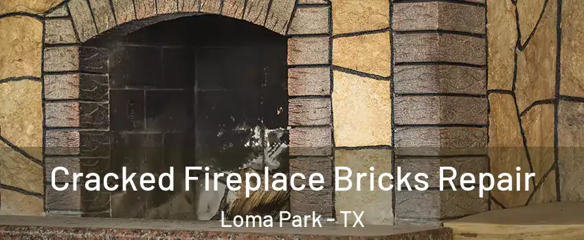 Cracked Fireplace Bricks Repair Loma Park - TX