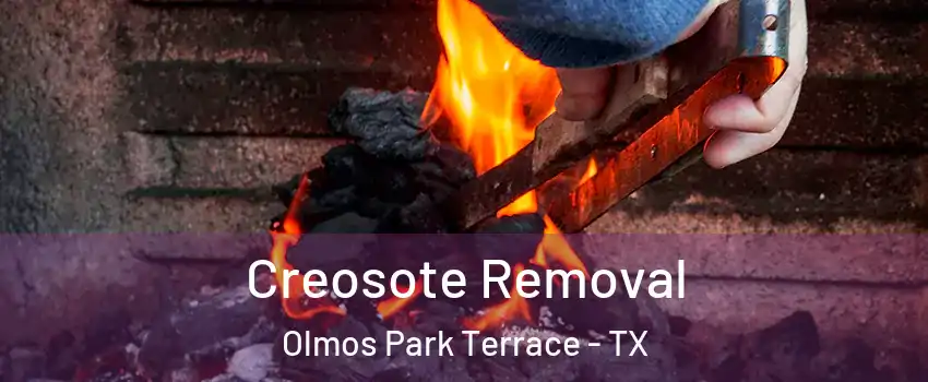 Creosote Removal Olmos Park Terrace - TX