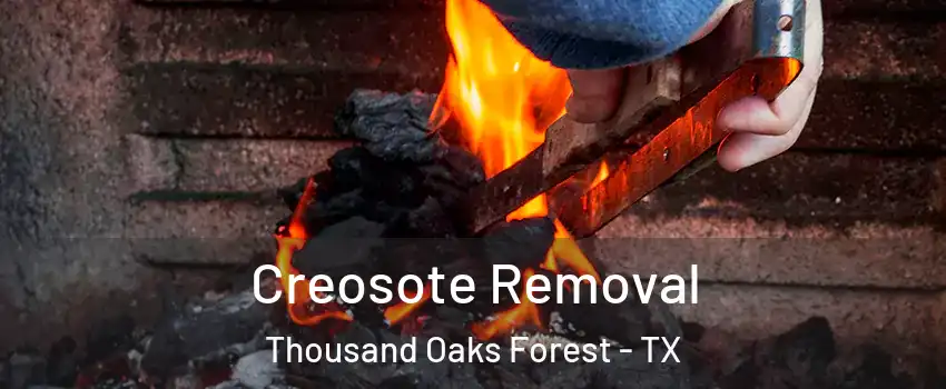 Creosote Removal Thousand Oaks Forest - TX