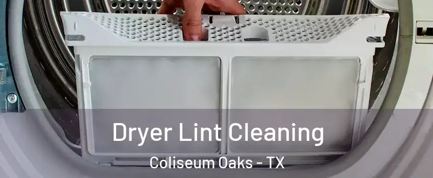 Dryer Lint Cleaning Coliseum Oaks - TX