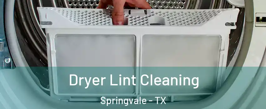 Dryer Lint Cleaning Springvale - TX