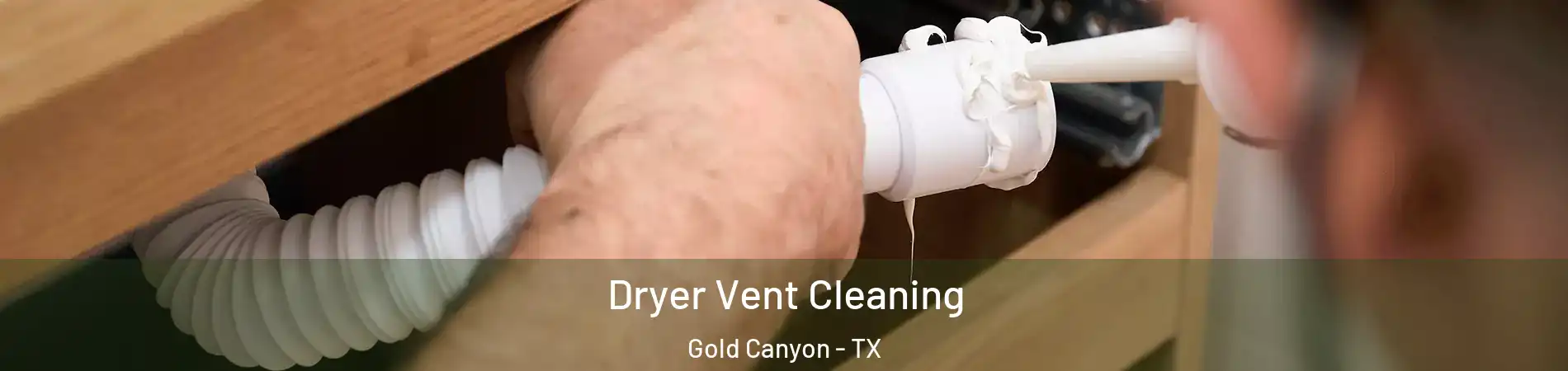 Dryer Vent Cleaning Gold Canyon - TX